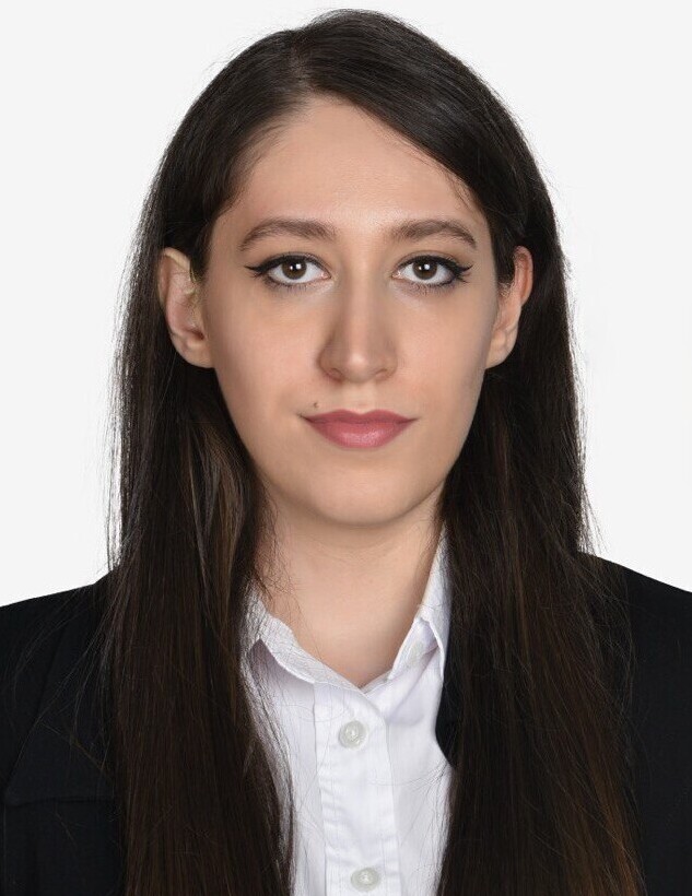<br>Parya Golshani Nasab